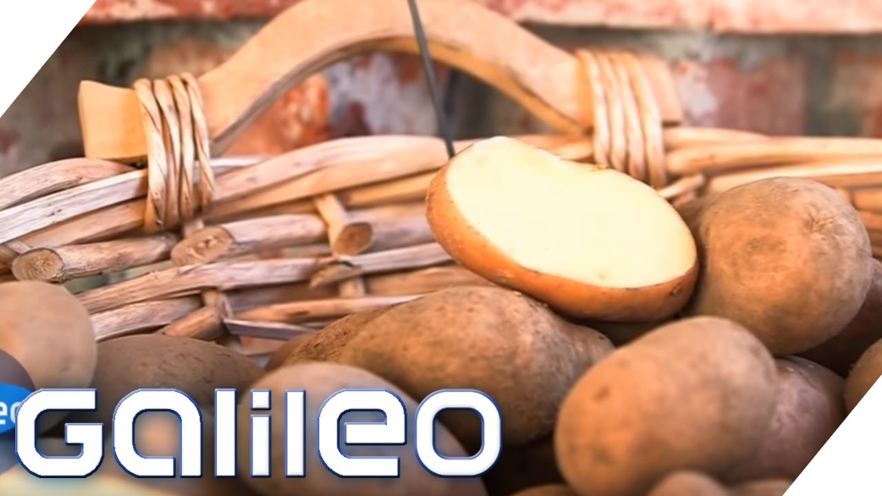 The world's most important foods | Galileo Lunch Break