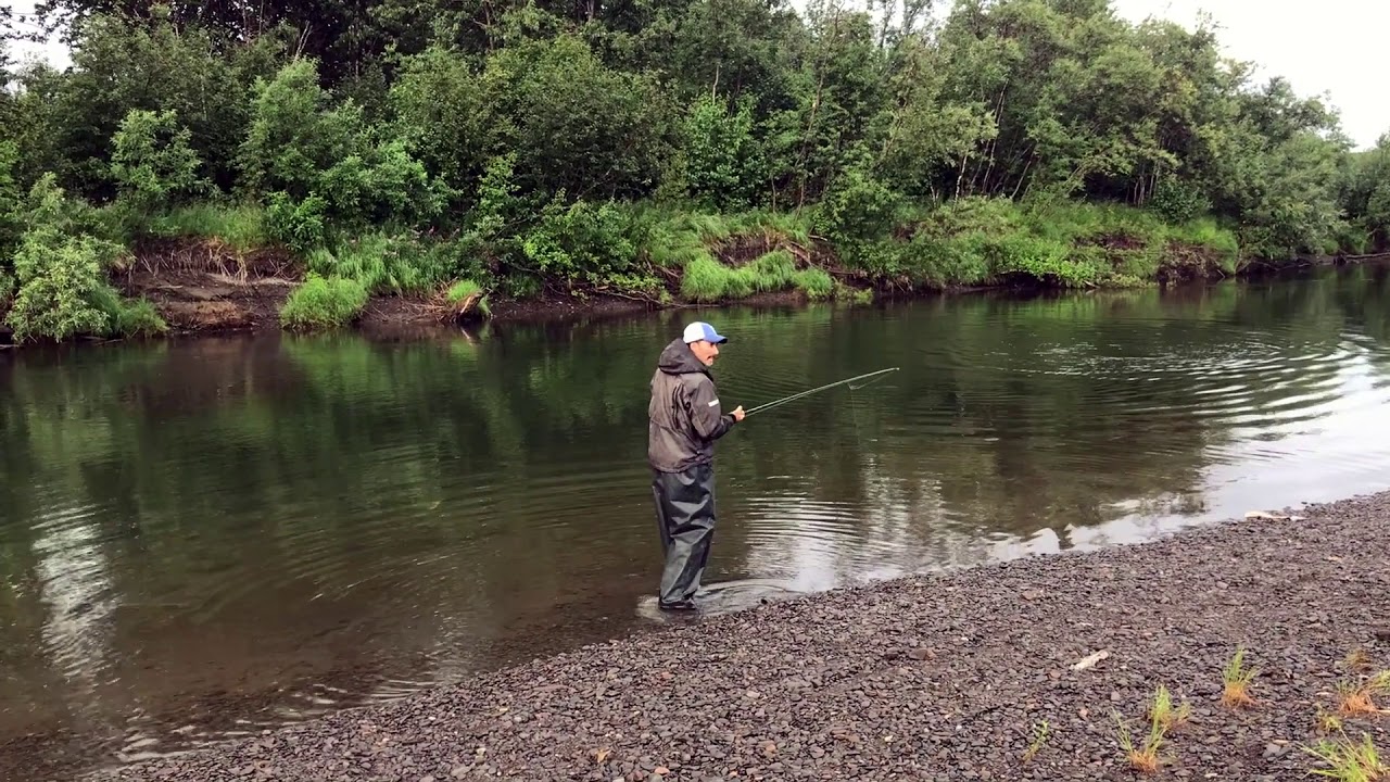 OPST Commando Head meets a Coho Salmon