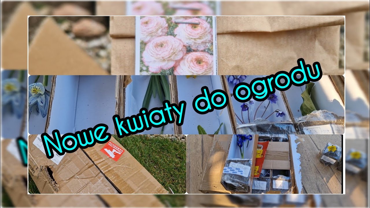 Haul zakupowy kwiat&oacute;w ogrodowych 😍🌸🌿🪻 21 marzec 2026.