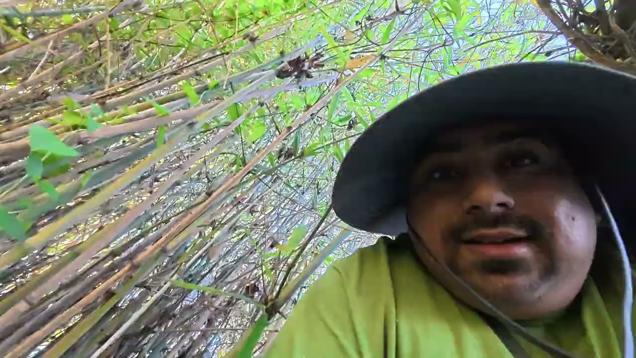 Explore The JUNGLE With Francisco Meza 