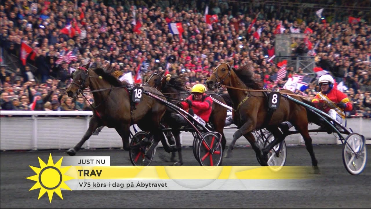 Duell mellan två av världens främsta travhästar - Nyhetsmorgon (TV4)