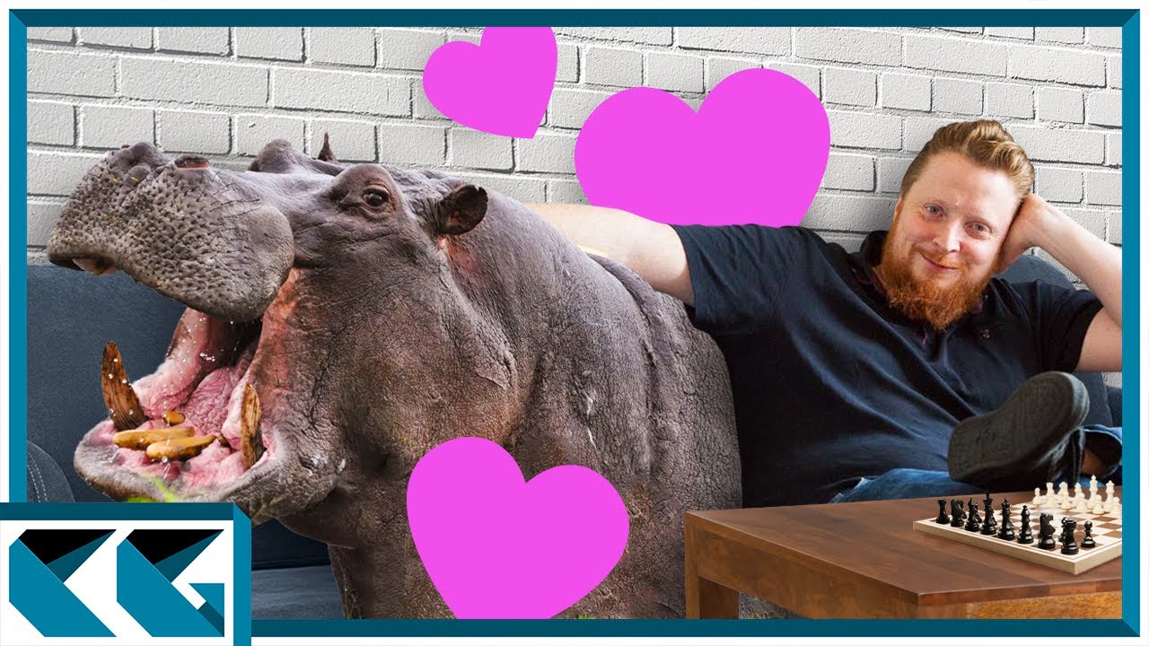 Why Simon Williams LOVES the Hippopotamus Defense (And You Might Too!)