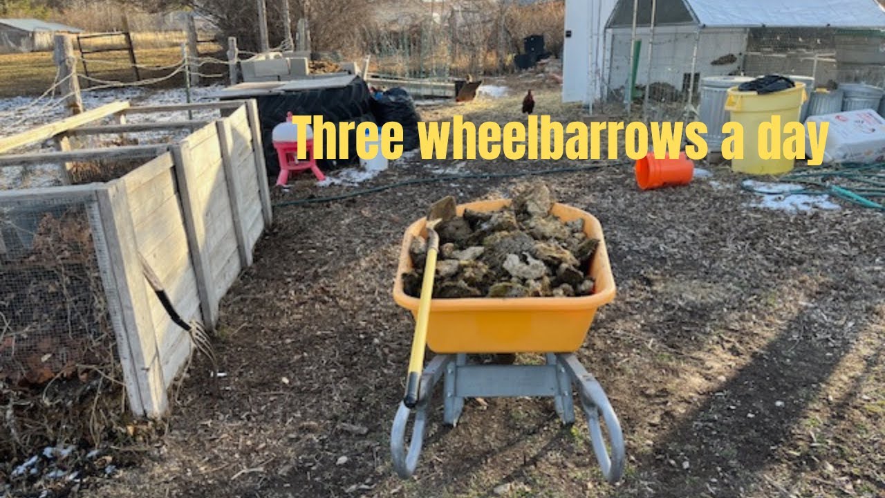 How I am building soil fertility in the winter: Vlog #428