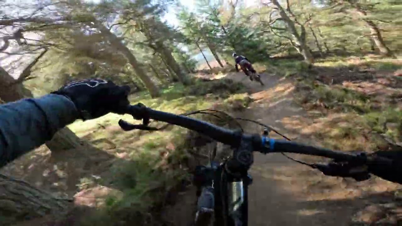 Tarland trails 2 following Anna