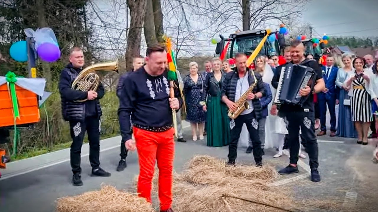 TYGRYS NA TACZKACH NA BOGATO !!! sezon 2022 / tradycyjne polskie wesele