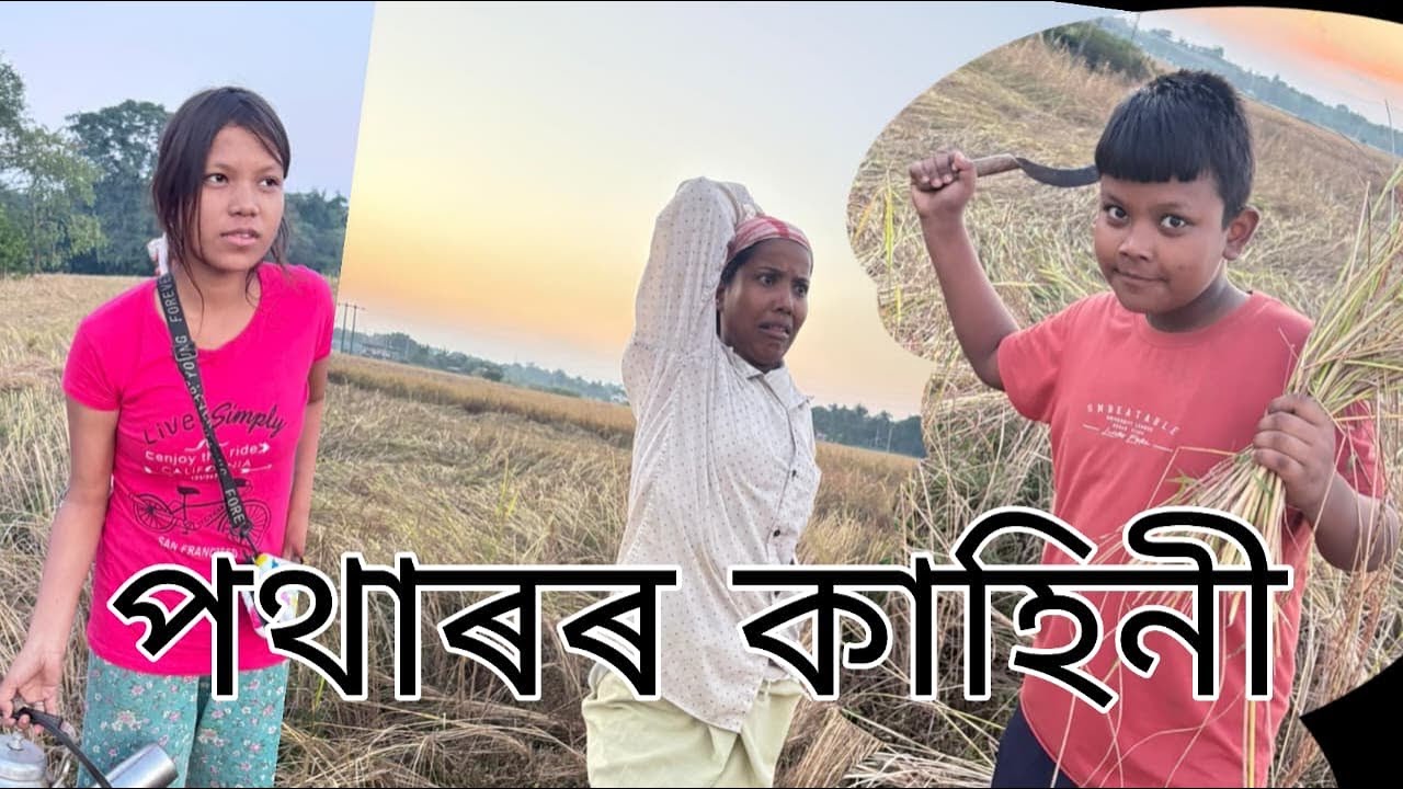 আঘোনৰ পথাৰত বোৱাৰীয়ে ধান দাব🤣এইবাৰহে এইবাৰ🤣