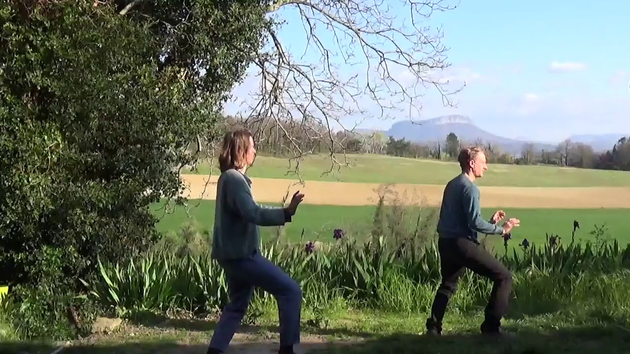 Tai Ji 24 Postures