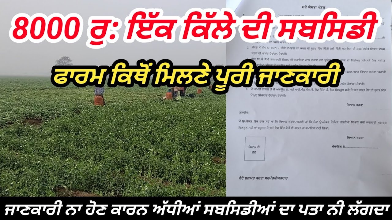 8000 ਰੁ: ਏਕੜ ਦੀ ਸਬਸਿਡੀ ਮਿਲ ਰਹੀ//ਸਬਸਿਡੀ ਲਈ ਫਾਰਮ ਕਿਥੋਂ ਮਿਲਣੇ