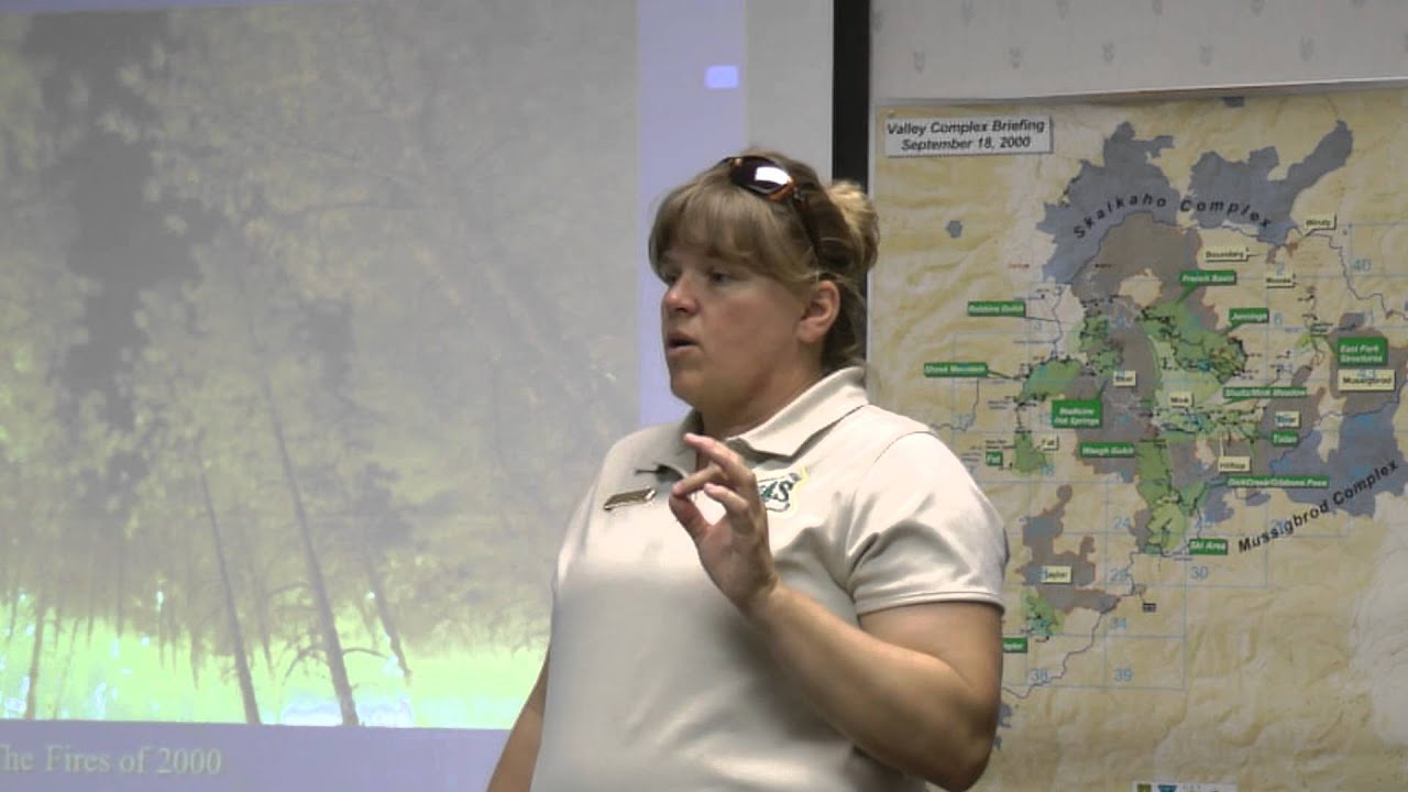 Fires of 2000 Overview: A Fire Manager Perspective