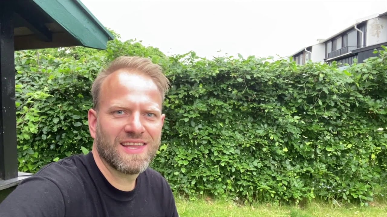 La tomatina, grønnsak og tomatsuppe