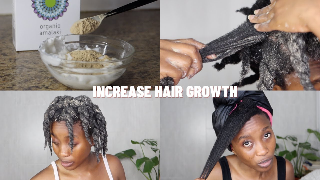 Ayurveda: How to use Amla  powder for Fast Hair Growth| Beginner friendly| 4c Low Porosity