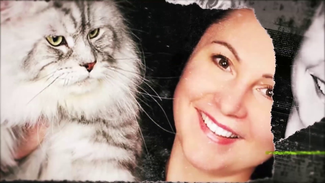 Maine Coon! Η τεράστια γάτα που αποκαλούν Γατόσκυλο με την Ελεονώρα Πλοσιχινα Επ. 22