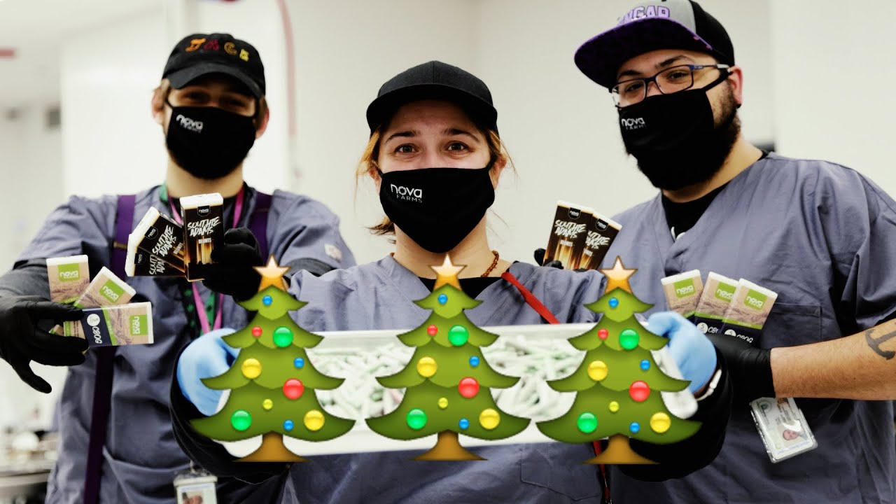 12 DAYS OF NOVA 🎄 (4K)
