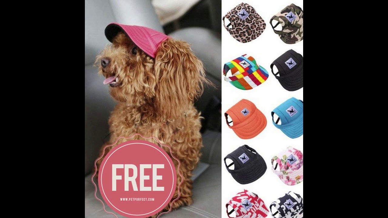 FREE PET PURFECT DOG BASEBALL CAP