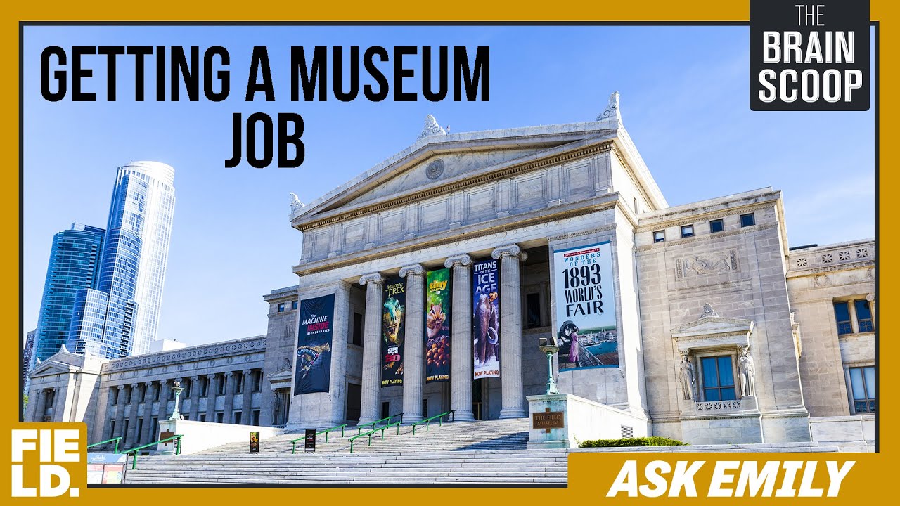 How Do I Get A Museum Job? | Ask Emily