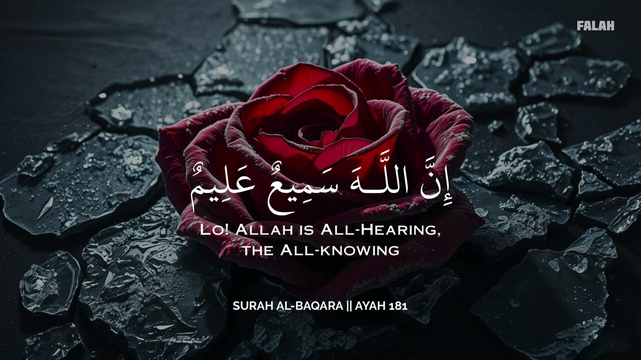 رح سمعك وقلبك بالقرآن❤️🎧 وأستمع لتلاوة هادئه بصوت محمد هشام | راحة نفسية😌 | Mohamed Hesham