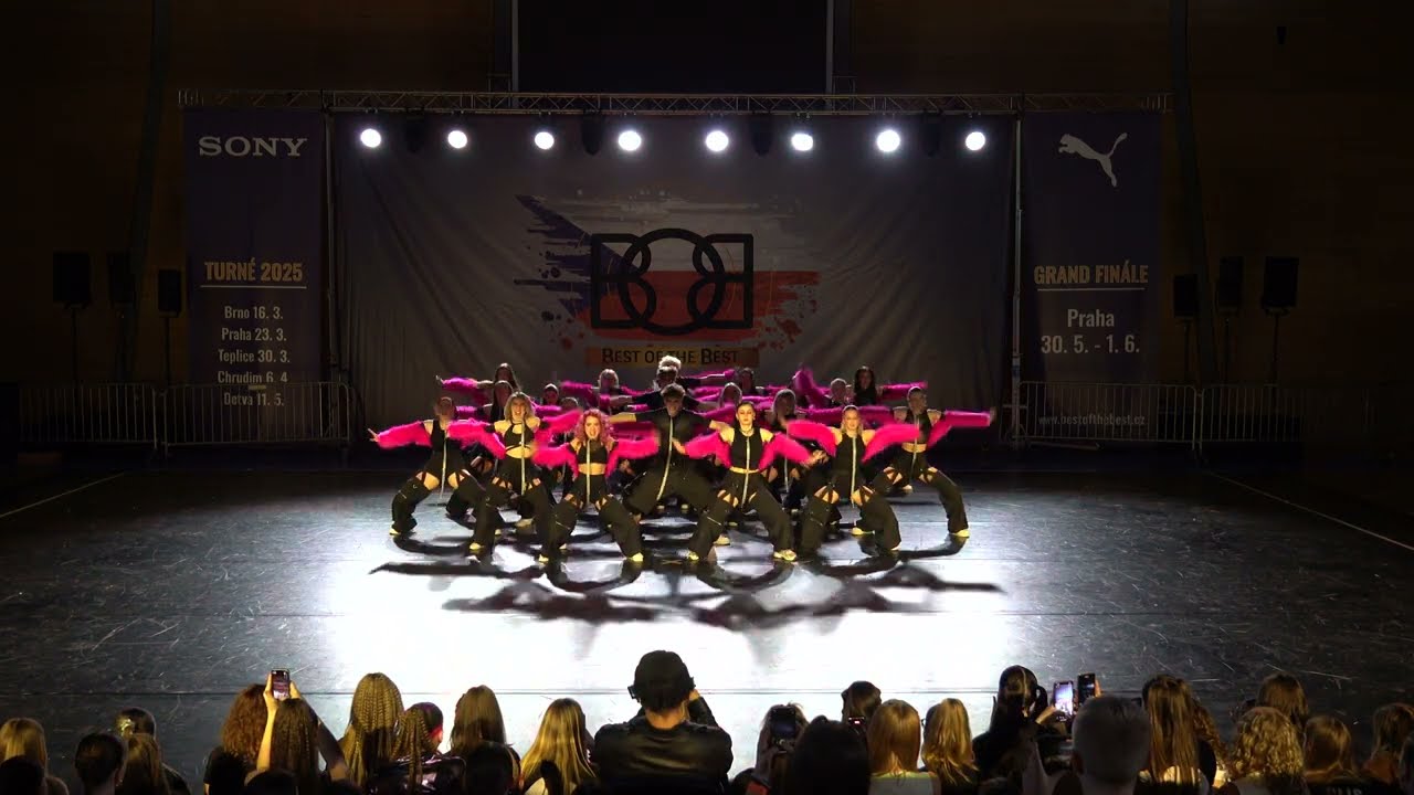 Best of Best M Dance crew KM No Leash 16 3 2025