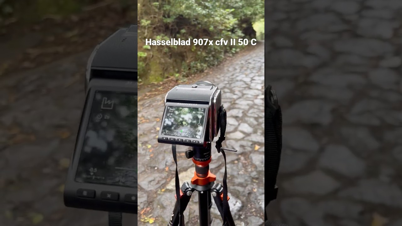 Hasselblad 907x CFV II 50C