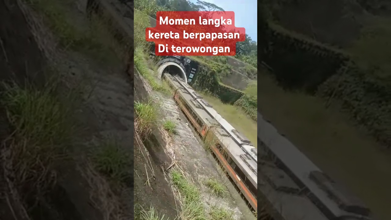 Momen Langka kereta berpapasan di terowongan ijo #kereta #lokomotif #sepur #keretaapiindonesia