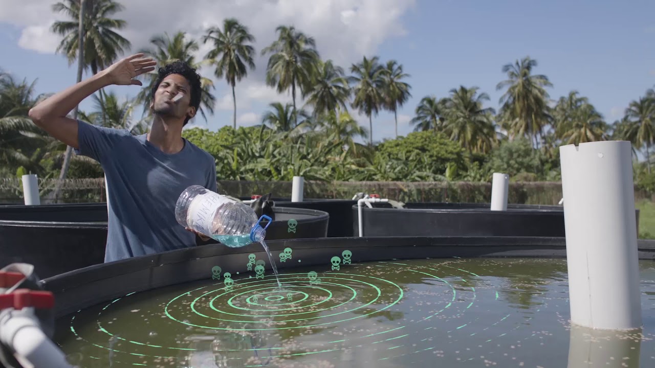 ENHSAS Best Practices in Aquaculture