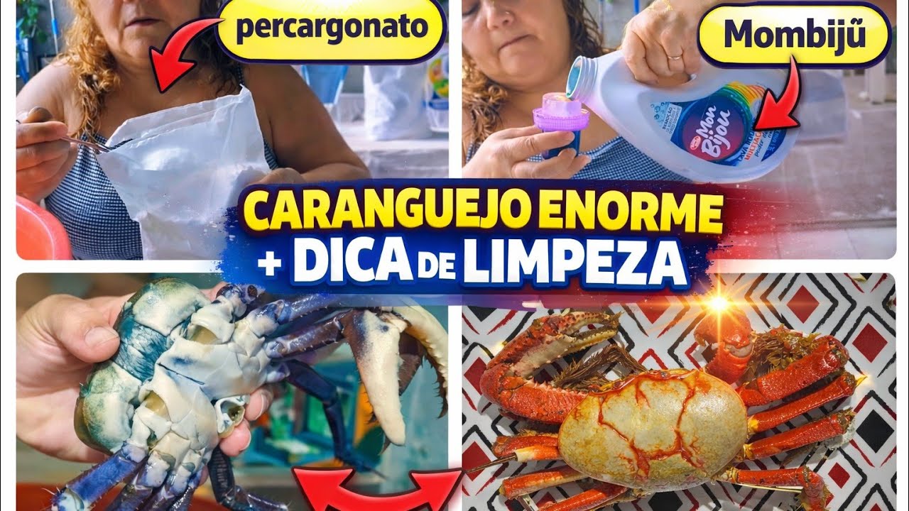Vida real de dona de casa 🏠 Testei um produto que comprei na Shoppee/Como faço carangueijo. 