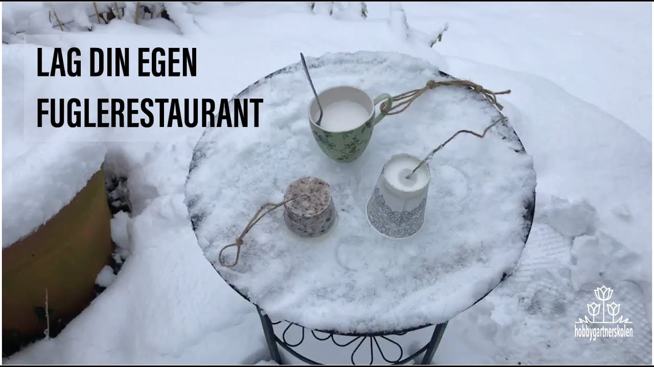 Lag din egen fuglerestaurant