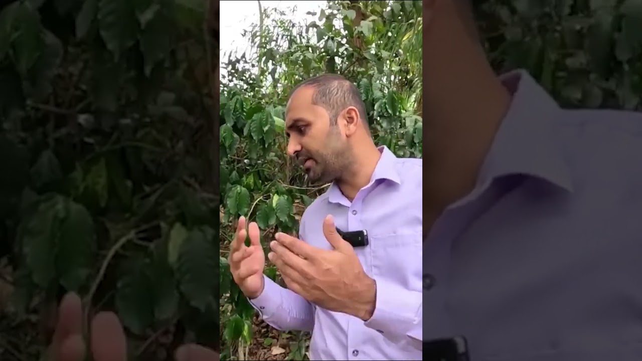 මී පැණි නිස්සාරණය / Bee Keeping -  Honey Extraction #harti #businessmanagement #harti   #beekeeping