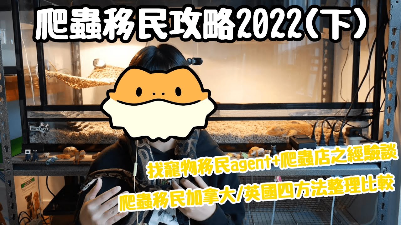 【爬蟲移民攻略2022🦎(下)】搵寵物移民agent+爬蟲店之經驗談 | 爬蟲移民加拿大/ 英國4方法整理比較