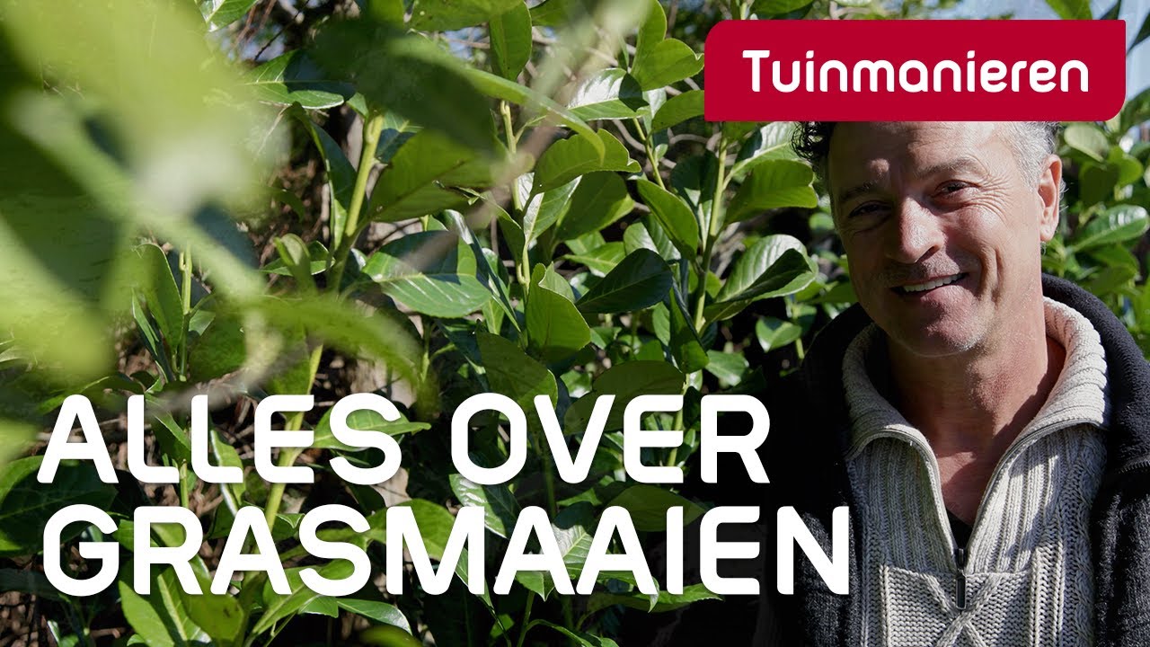 Gras maaien: hoe doe je dat? | Hoe onderhoud je het gazon #2 | Tuinmanieren