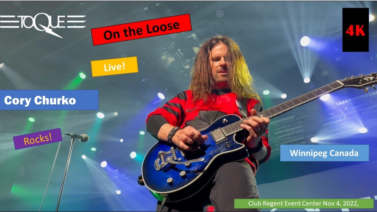 Toque~ On the Loose~ Saga~ Winnipeg, Canada 4K Nov 4 2022
