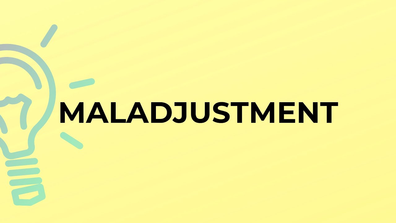 What is the meaning of the word MALADJUSTMENT?