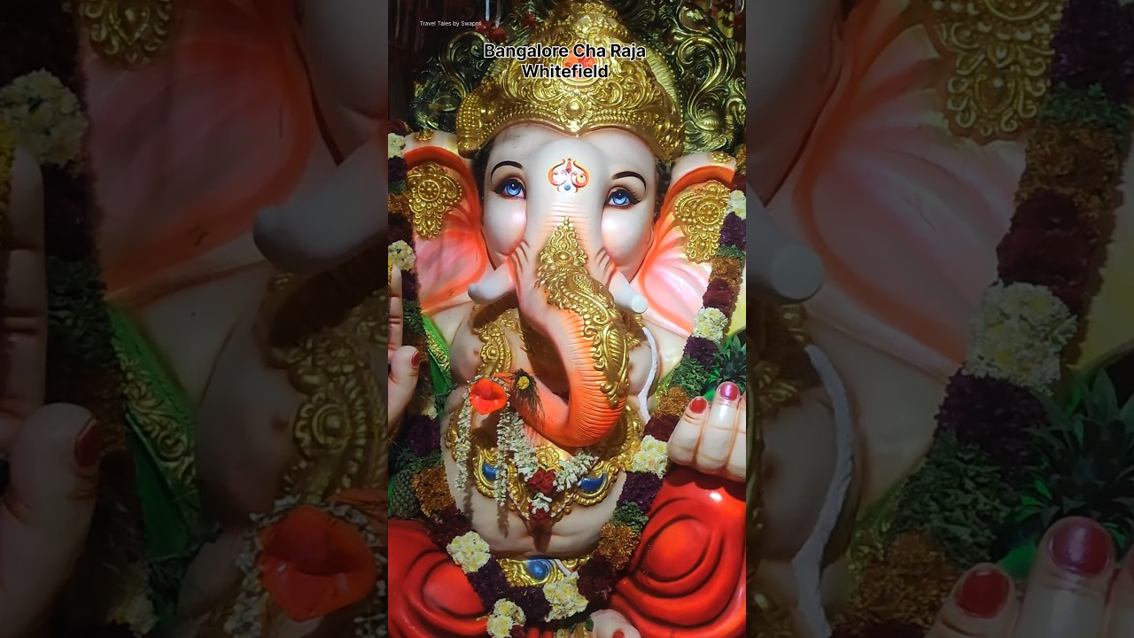 Bangalore Cha Raja | Whitefield Bangalore #ganeshchaturthi #ganeshutsav #shorts #bangaloreganesha