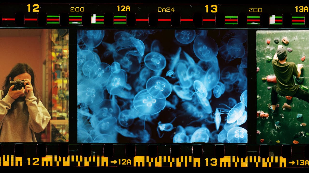 The Joy of Film Photography