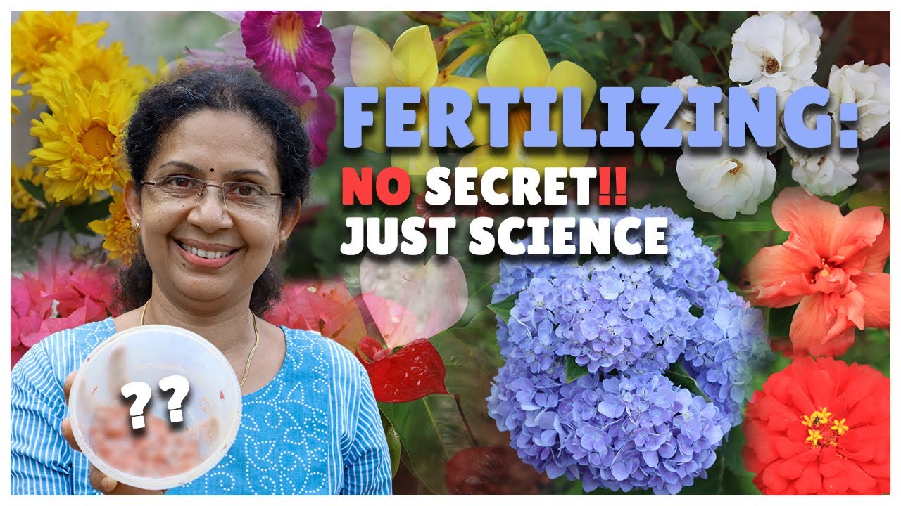 How to Fertilize Flowering Plants | Science of Fertilizing Plants