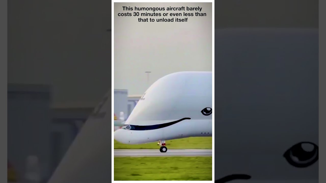 Interesting and unknown facts about Airbus Beluga #flight #shorts