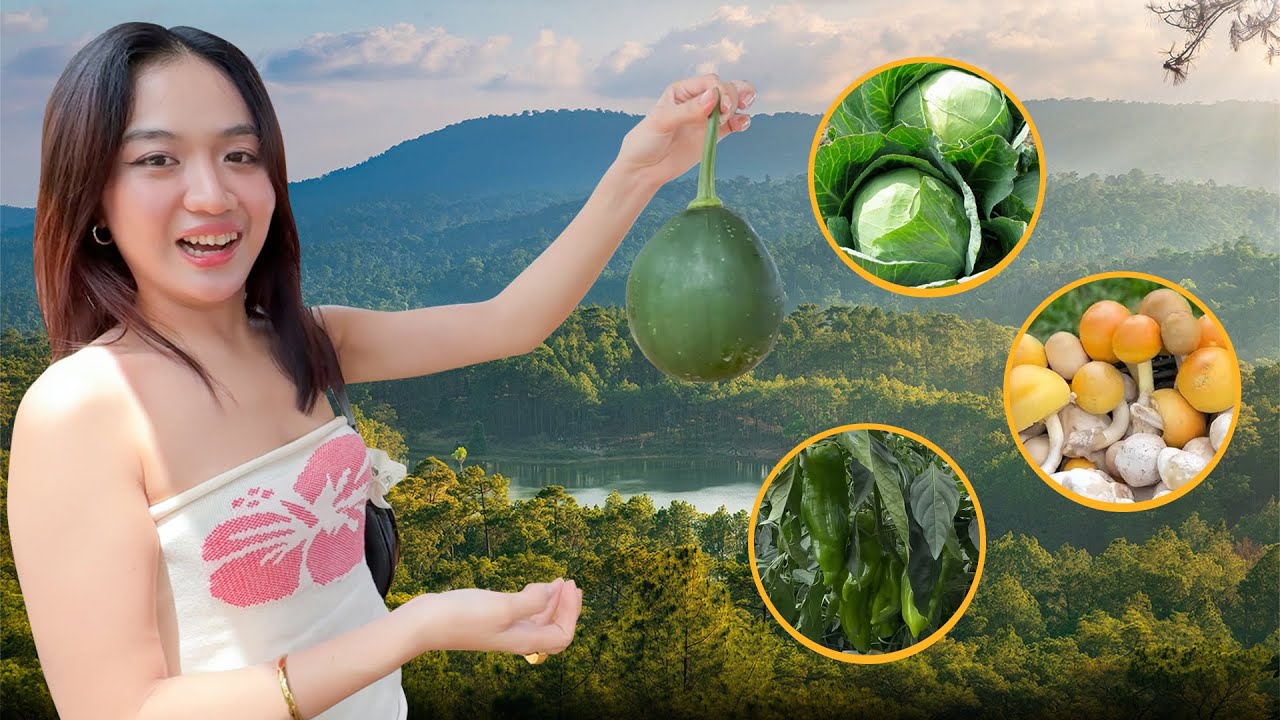 ទិញបន្លែធម្មជាតិ និងផ្សិតកម្រ ពីភ្នំគីរីរម្យមកម្ហូប🥬😋
