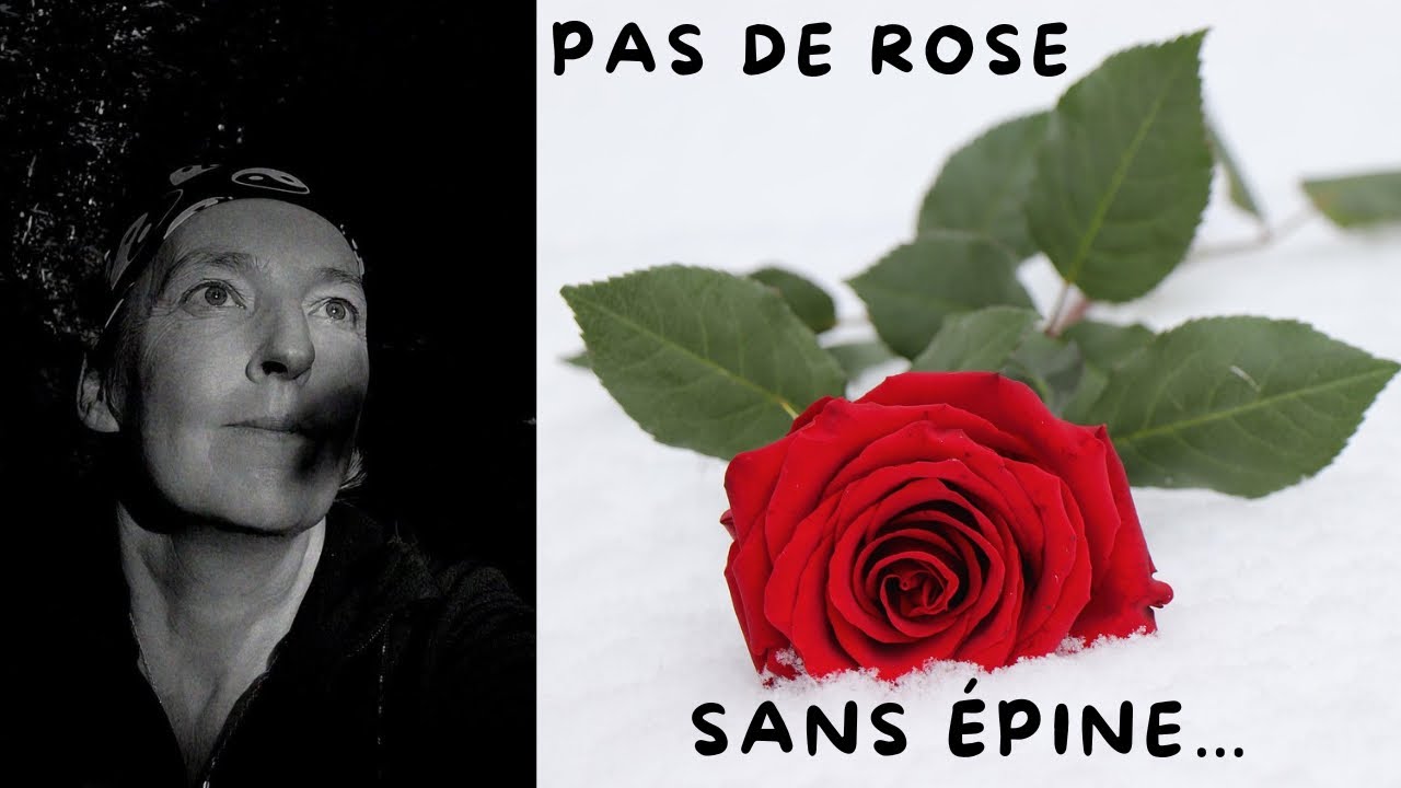 Pas de rose sans épine… CE QUE LA VIE M’A APPRIS 🌹