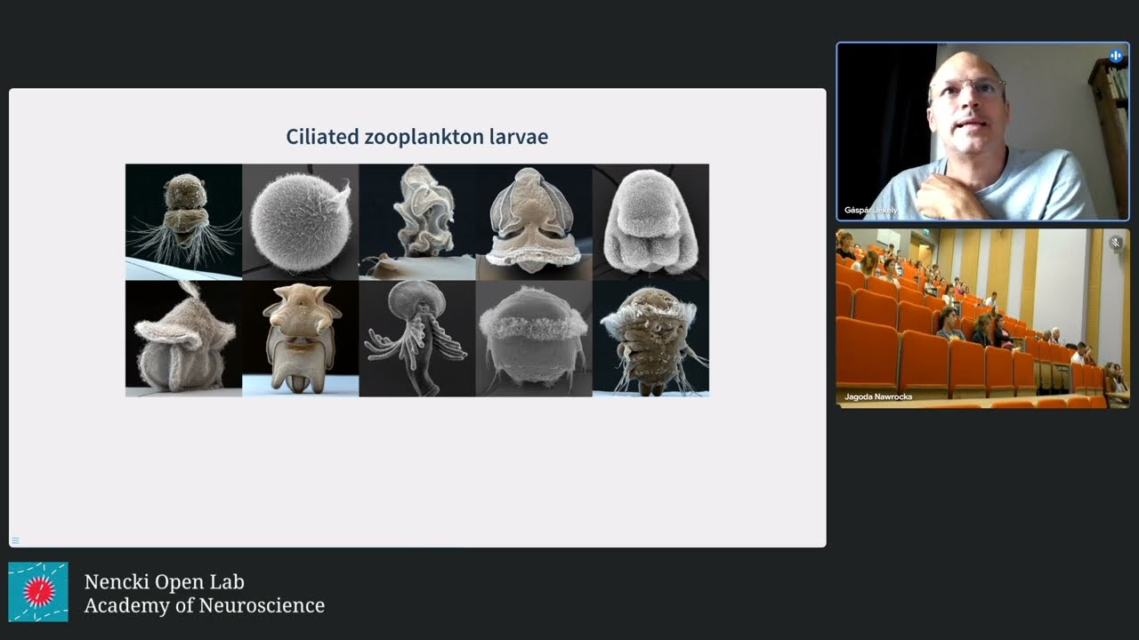 Origin and evolution of animal eyes and light guided behavior - Gáspár Jékely