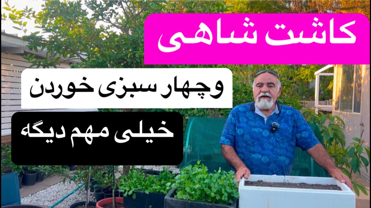 کاشت شاهی و چهار سبزی خوردن مهم دیگه