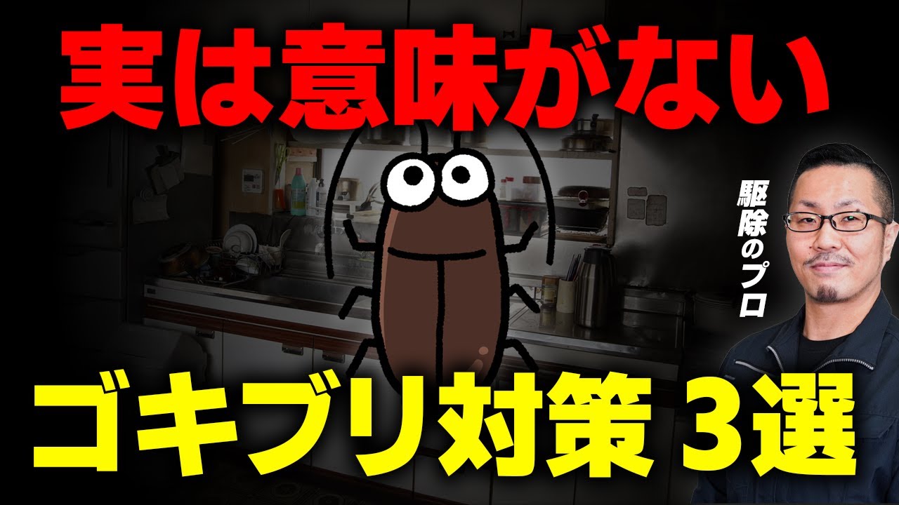 【バル◯ンも効果なし!?】ゴキブリ駆除のプロが教える、実は全く意味がないG対策3選＜&ldquo;ハーブが効く&ldquo;はデマ＞｜東京