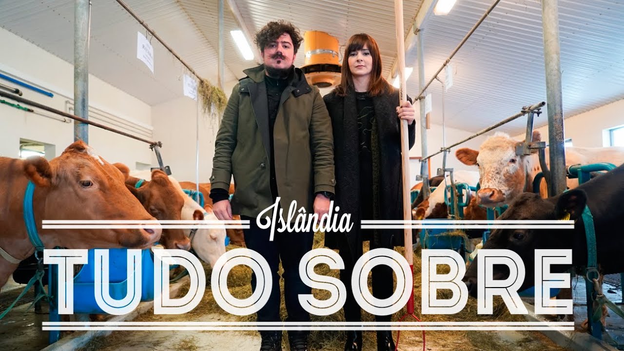 DANI & PAULO RESPONDEM | ISLÂNDIA | Dani Noce