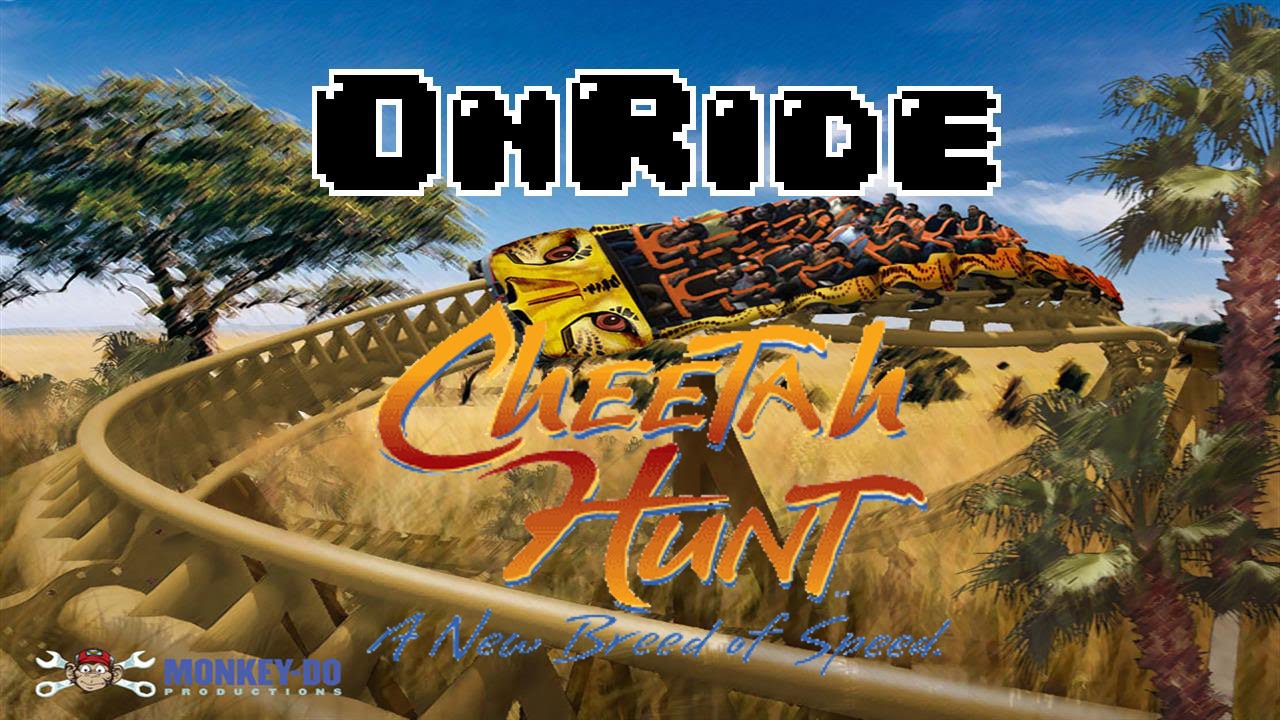 Onride Cheetah Hunt | Bush Gardens, Tampa, FL