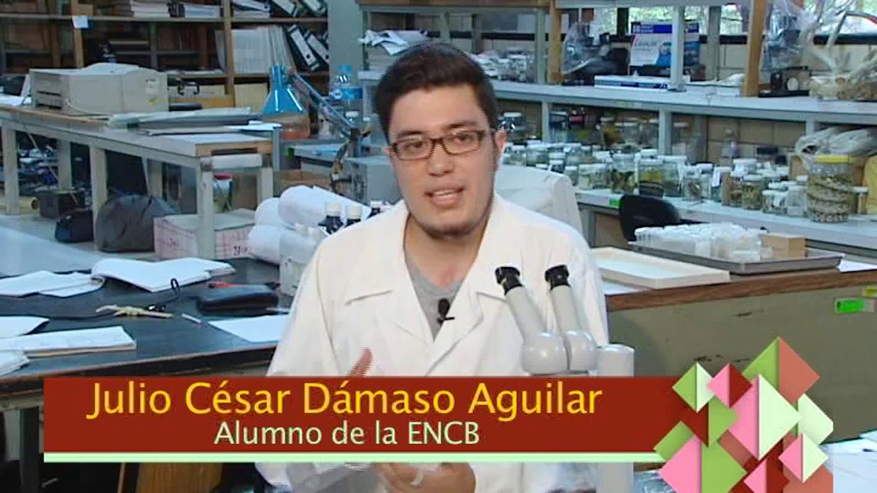 ENCB Lic Biologia