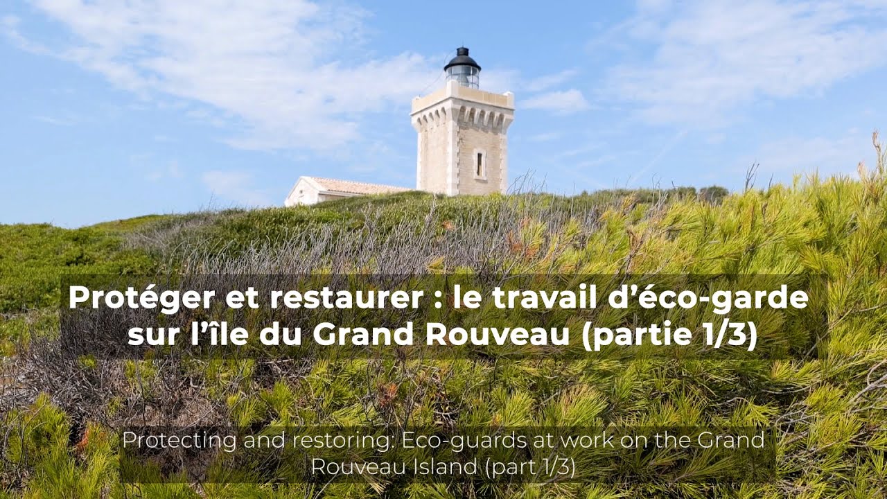 Protéger et restaurer : le travail d'éco-garde sur l'île du Grand Rouveau (partie 1/3)