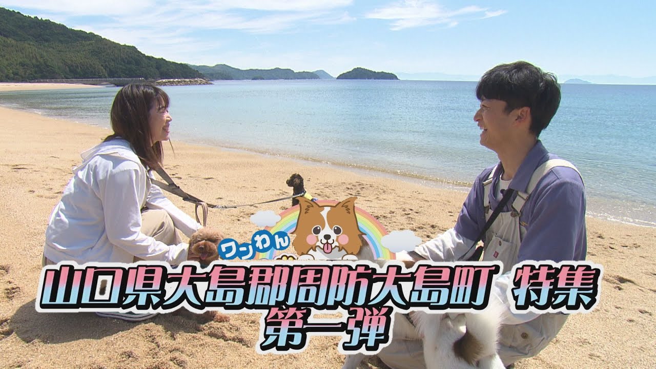 第146回　山口県大島郡周防大島町　特集第一弾