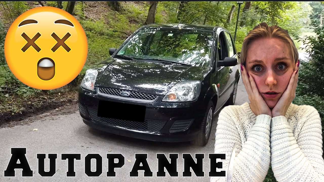 Autopanne mitten im Wald 😳😱 | Nessi's World