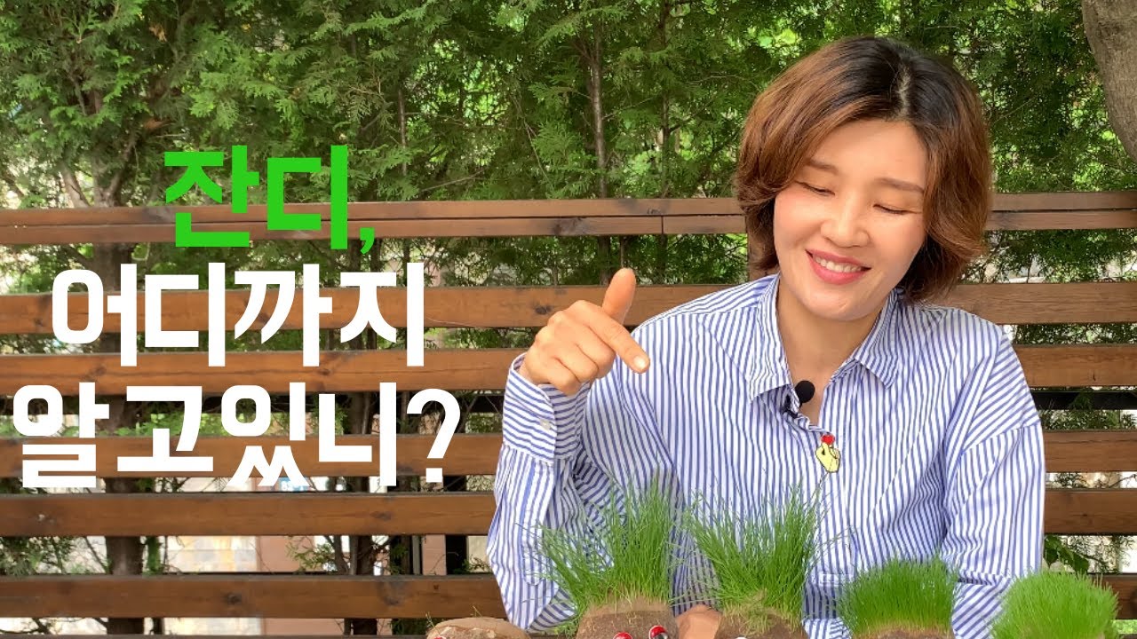 잔디박사가 인형으로 쉽게 보여주는 잔디 종류! 들잔디소녀 태현숙의 잔디이야기 3화-잔디종류
