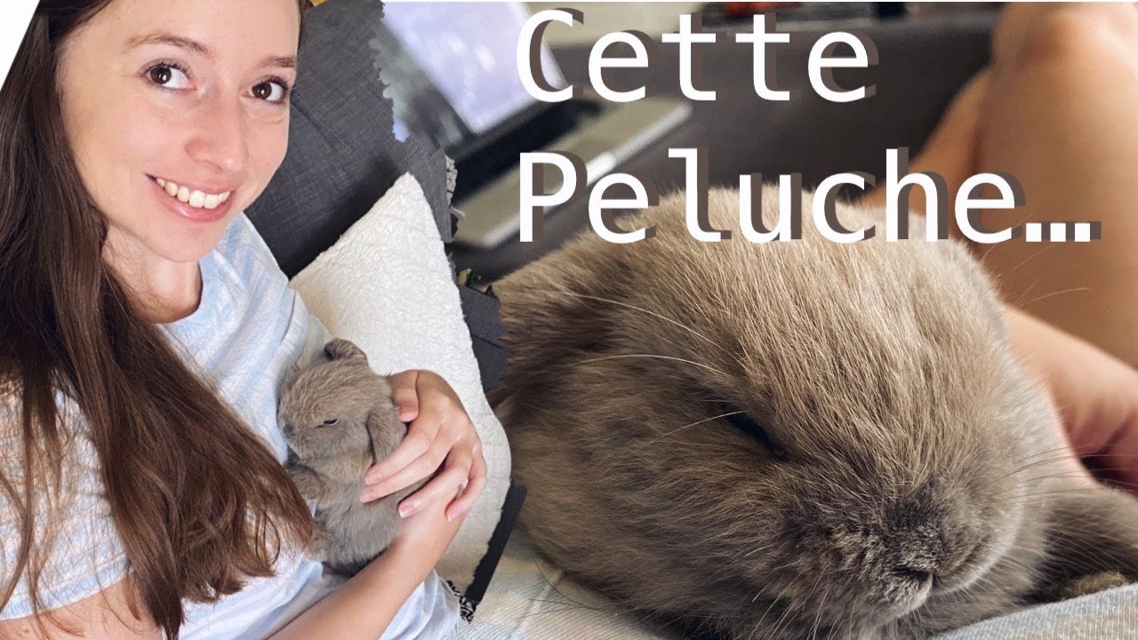 Vlog Week End, Un deuxième Lapin Américain, Rencontre avec Buzz