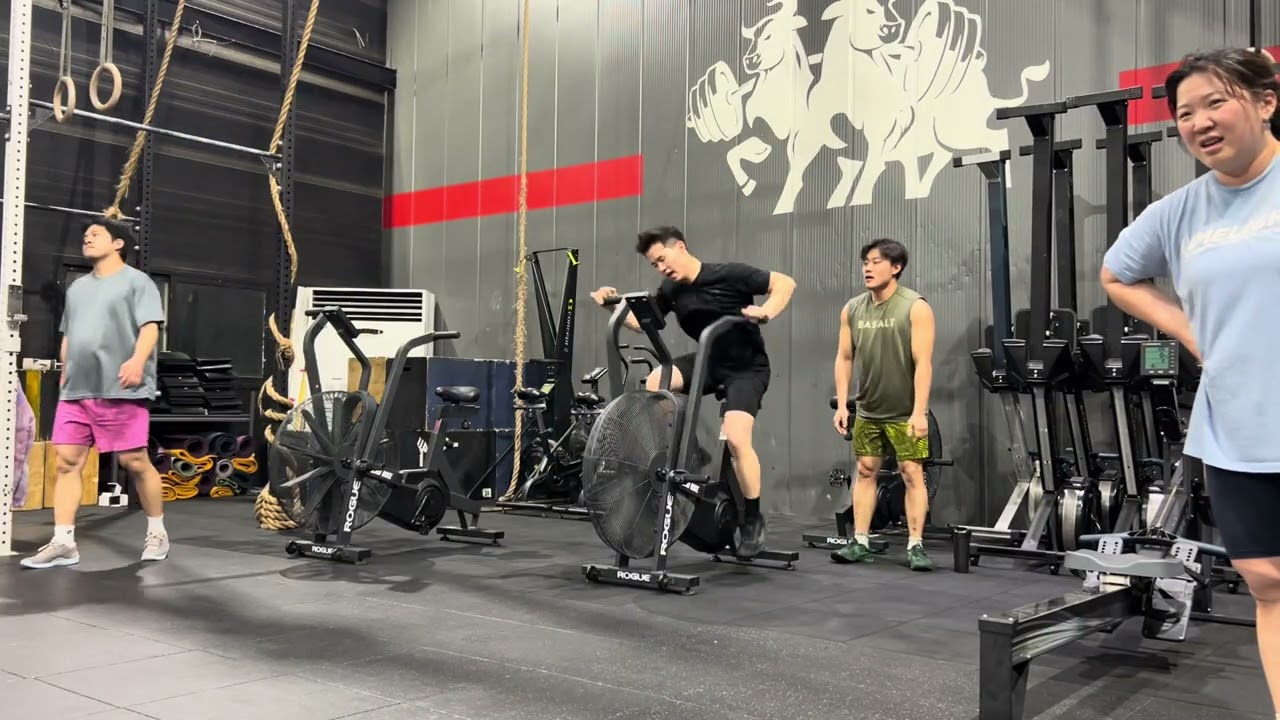 미누동선 바이크 셔틀런 잔뜩 갯수 헷갈림 ㅋㅋ