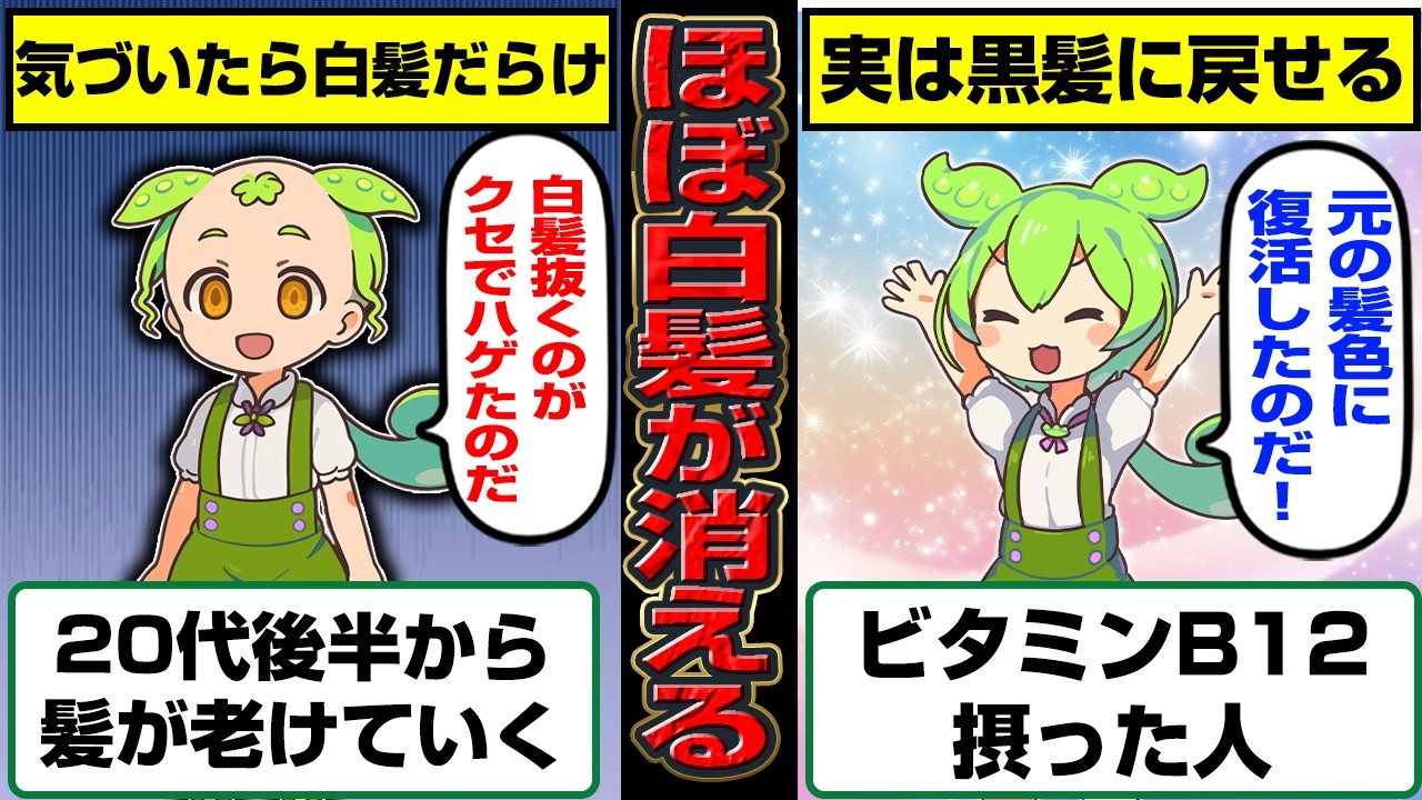 まだ間に合う。ビタミンB12や他の栄養を使って白髪を元に戻す【ずんだもん】